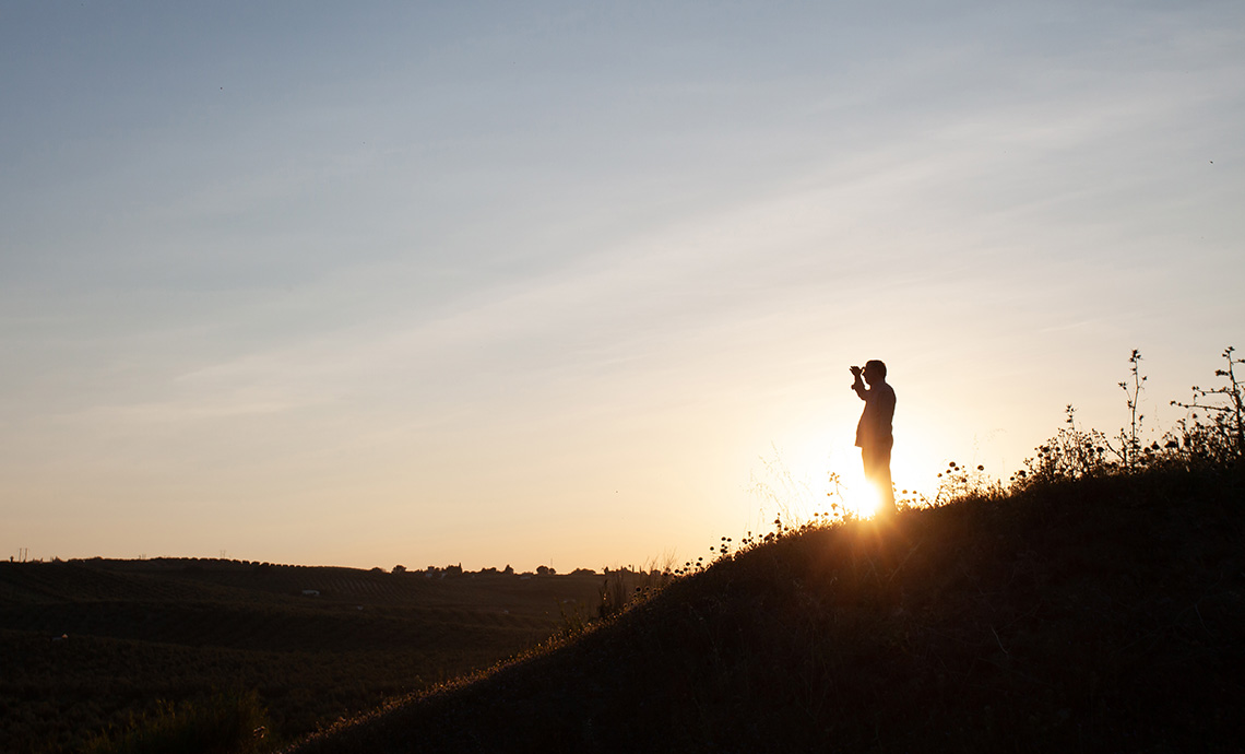 person on a hillside backlit by the sun