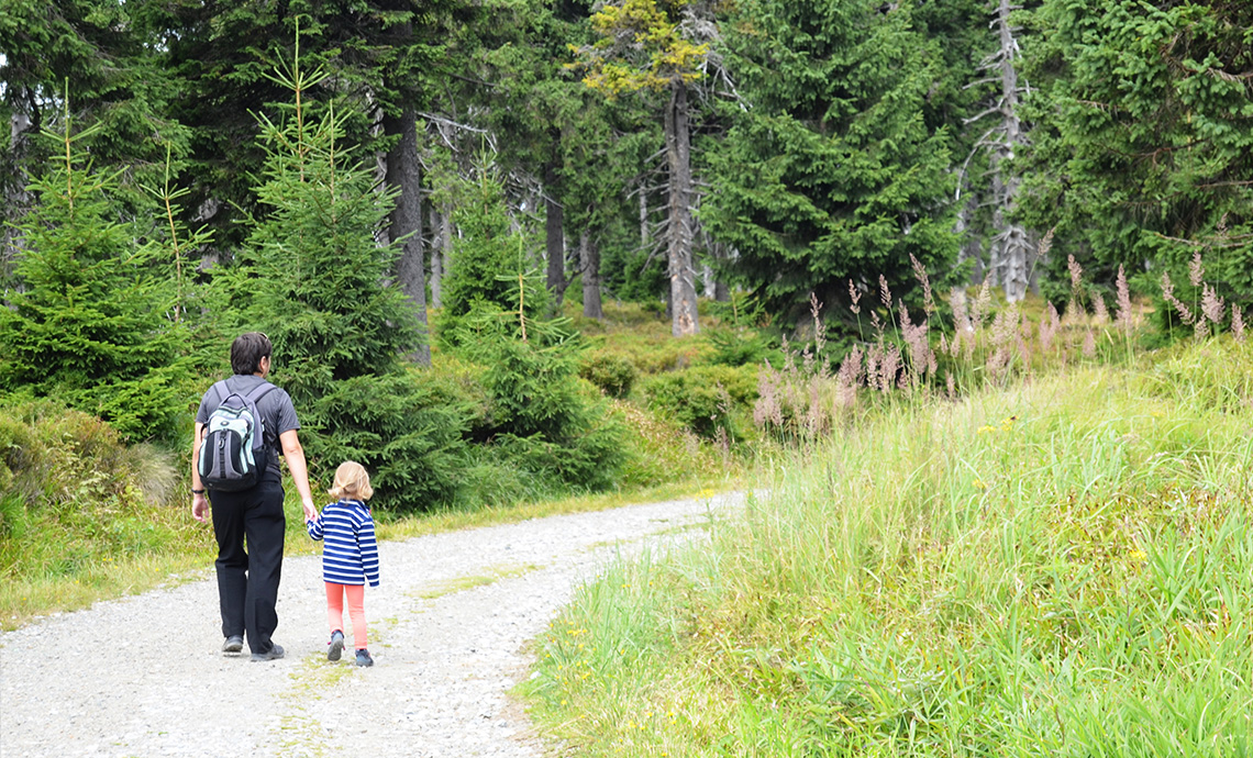 Grandparent and grandchild on a forest trail holding hands